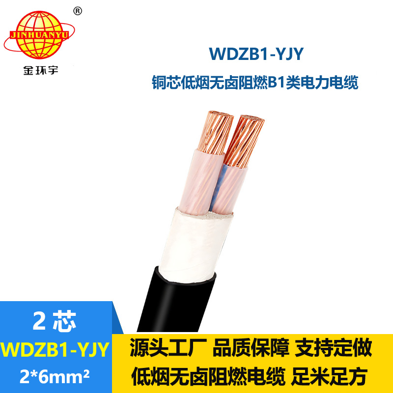 金環(huán)宇電線電纜 阻燃B1類電纜 WDZB1-YJY 2X6平方 低煙無鹵電力電纜